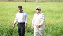 Mentan Amran Sulaiman Apresiasi Petani dan Stakeholder atas Capaian 4 Juta Ton Cadangan Beras