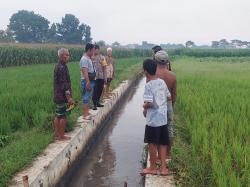 Tragis! Pemuda di Jombang Tewas Tersambar Petir saat Bertani di Sawah, Begini Kondisinya
