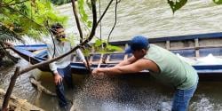 Pekerja di Aek Bilah Tewas Terseret Sungai Saat Ambil Sampel Batu