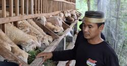 Berbusana Mirip Budaya Melayu, Penjual Kambing Kurban di Jember Ini Curi Perhatian Pembeli
