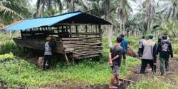 9 Ternak Warga Inhil Diterkam Harimau, BBKSDA Pasang Kandang Jebakan