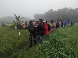 Ingin Usir Tikus, Petani Bojonegoro Ini Justru Tewas Tersengat Aliran Listrik di Sawah