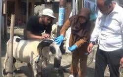 Cegah Penyakit, Dinas Perikanan dan Peternakan Purwakarta Sidak Lapak Hewan Kurban