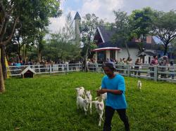 Provit Farm Village, Perah Susu Kambing dan Rekreasi di Alam yang Asri