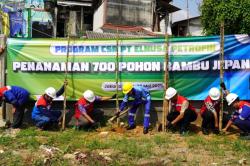 Memperingati Hari Lingkungan Hidup, Elnusa Petrofin Tanam Ribuan Pohon di Seluruh Indonesia