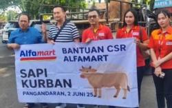 Alfamart dan Pemkab Pangandaran Bersinergi Salurkan Hewan Kurban untuk Masyarakat