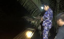 Polres Kepulauan Meranti Sita 20 Ton Kayu, Diduga dari Hasil Penjarahan Hutan