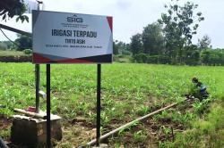 Bisa Panen Empat Kali dalam Setahun, Bantuan Irigasi SIG Tingkatkan Produktivitas Pertanian di Tuban