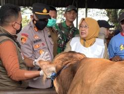 Jelang Idul Adha 2025, Lamongan Perketat Pemeriksaan Hewan Kurban di 27 Kecamatan