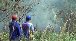 Cuaca Ekstrim, Ladang Serai Wangi Terbakar
