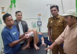 Anak di Malunda Derita Gagal Ginjal, Tak Mampu Biaya Hidup  Wakil Gubernur Sulbar Turun Tangan