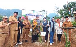 Srikandi Komisi II DPRD Kompak Dukung Pelestarian Lingkungan dan Ketahanan Pangan