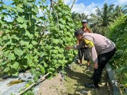 Dukung Asta Cita, Bhabinkamtibmas Polsek Pangkalan Lada Sambangi Petani 