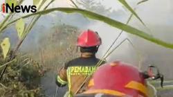 Kebakaran Lahan Kosong di KIM II, DPKP Kota Medan Kerahkan Armada Pemadam