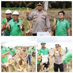 Polres Seruyan Panen Jagung 3 Hektare Dukung Program Asta Cita Presiden Prabowo Subianto