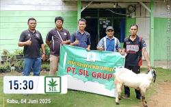 PT SIL Bagikan Kambing Kurban Kepada Belasan Desa Penyangga 