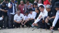 Lepas 101 Tukik di Pantai Wediombo, Bukti Ekosistem Pesisir Gunungkidul Masih Terjaga