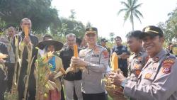 Polres Garut Panen Jagung 75 Ton di Lahan 15 Hektar, Ini Dampaknya bagi Petani Lokal