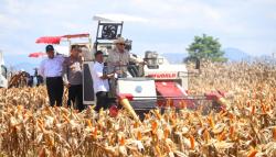 Mentan Amran Dampingi Presiden Prabowo Panen Raya Jagung Di Kalbar