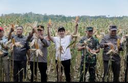Bupati Apresiasi Panen Raya Jagung Kuartal II Polres Bengkulu Utara