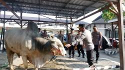 Polres Pemalang Pastikan 24 Hewan Kurban Aman dari PMK dan Layak Konsumsi Sebelum Dibagikan