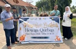 PT PLN Indonesia Power UBP Banten 1 Suralaya Salurkan Hewan Kurban di Wilayah Ring 1