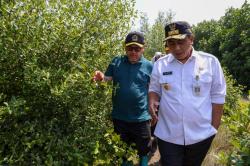 Pemprov Jateng Terus Upayakan Tangani Banjir Rob Demak, Revitalisasi Tanggul hingga Taman Mangrove