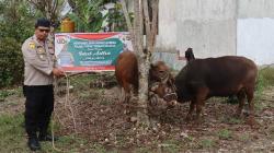 Rayakan Iduladha 1446 H, Kapolres TTS Sumbang 3 Hewan Kurban