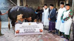 Daging Kurban dari Presiden Prabowo Dibagikan untuk Warga Karanggeneng, Lamongan