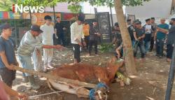 Kapolres Gowa Pimpin Pemotongan Hewan Kurban di Hari Raya Idul Adha 1446 H