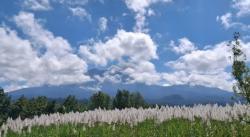 Gunung Raung Alami Erupsi Dengan Ketinggian Asap 500 Meter, Pendaki Dilarang ke Puncak