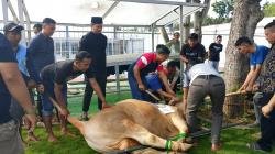 Lapas Indramayu Sembelih Hewan Kurban, Daging Diberikan untuk Warga Binaan dan Masyarakat