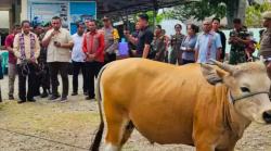 Bupati TTU Copot Dua Kadis saat Iduladha, Soroti Maladministrasi dan Target PAD