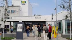 Jika IKEA Jadi Hotel, Seperti Apa Rasanya? Temukan di Älmhult!