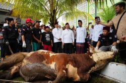 Presiden Prabowo Serahkan Sapi Kurban untuk Yayasan Ustaz Abdul Somad