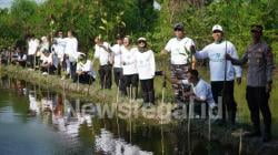 Peringatan Hari Lingkungan Hidup Sedunia Pemkot Tegal Tanam Ribuan Pohon