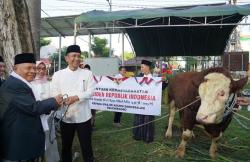 Bupati Serahkan Sapi Kurban dari Presiden Prabowo ke Masjid Agung Darussalam Bojonegoro