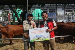 JICT Berbagi Berkah Idul Adha Kepada Ratusan Warga dengan 42 Sapi Kurban