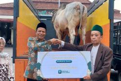 Pemkab Kebumen Terima Sapi 950 Kg dari Presiden