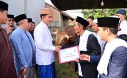 Dari Istana Untuk Rakyat, Bupati Lamsel Serahkan Sapi Qurban Bantuan Presiden Seberat 1 Ton 