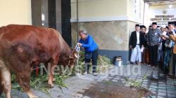 Wali Kota Tegal Serahkan Sapi Bejo Sumbangan Presiden Prabowo Kepada Pengurus Masjid Agung Tegal