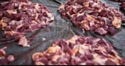 Daging Kurban Terasa Alot, Pakar Gizi IPB University ini Berbagi Tips Alami dan Teknik Memasak