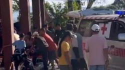 Tragis, Lansia Tewas Ditendang dan Diinjak Sapi Kurban di Tanah Datar