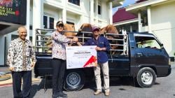 Idul Adha 1446 H, SIG Salurkan 39 Hewan Kurban di Kabupaten Tuban