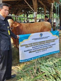 Sambut Idul Adha 1446 H, Presiden Prabowo Serahkan Sapi Kurban ke Ponpes di Purwakarta