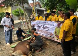 DPD Golkar Mesuji Potong Hewan Kurban dari Anggota DPR RI Aprozi Alam