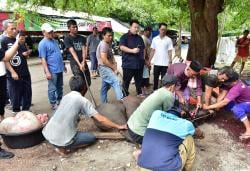 Berkah Idul Adha: Warkop Jurnalis Medan Kurban 2 Sapi dan 4 Kambing