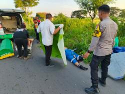 Berangkat Kerja, Buruh Pabrik Tewas Akibat Tabrak Lari di Pantura Manyar