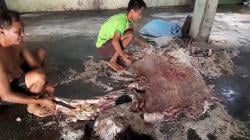 Idul Adha juga Jadi Berkah bagi Pengumpul Kulit Hewan Kurban di Blora