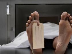Innalillahi, Kakek 84 Tahun Meninggal usai Ditendang dan Diinjak Sapi Kurban